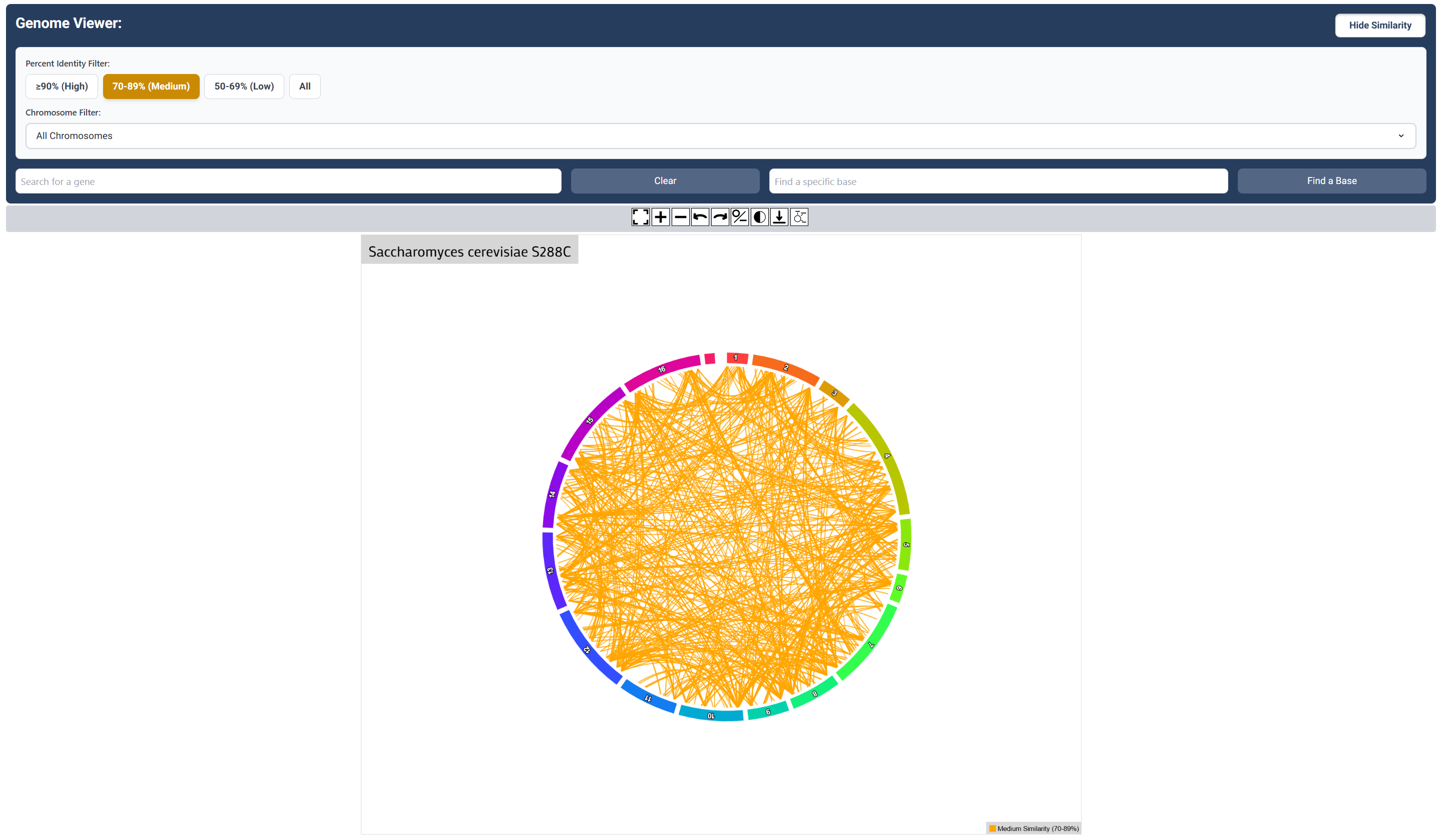 Medium Sequence Similarity Map