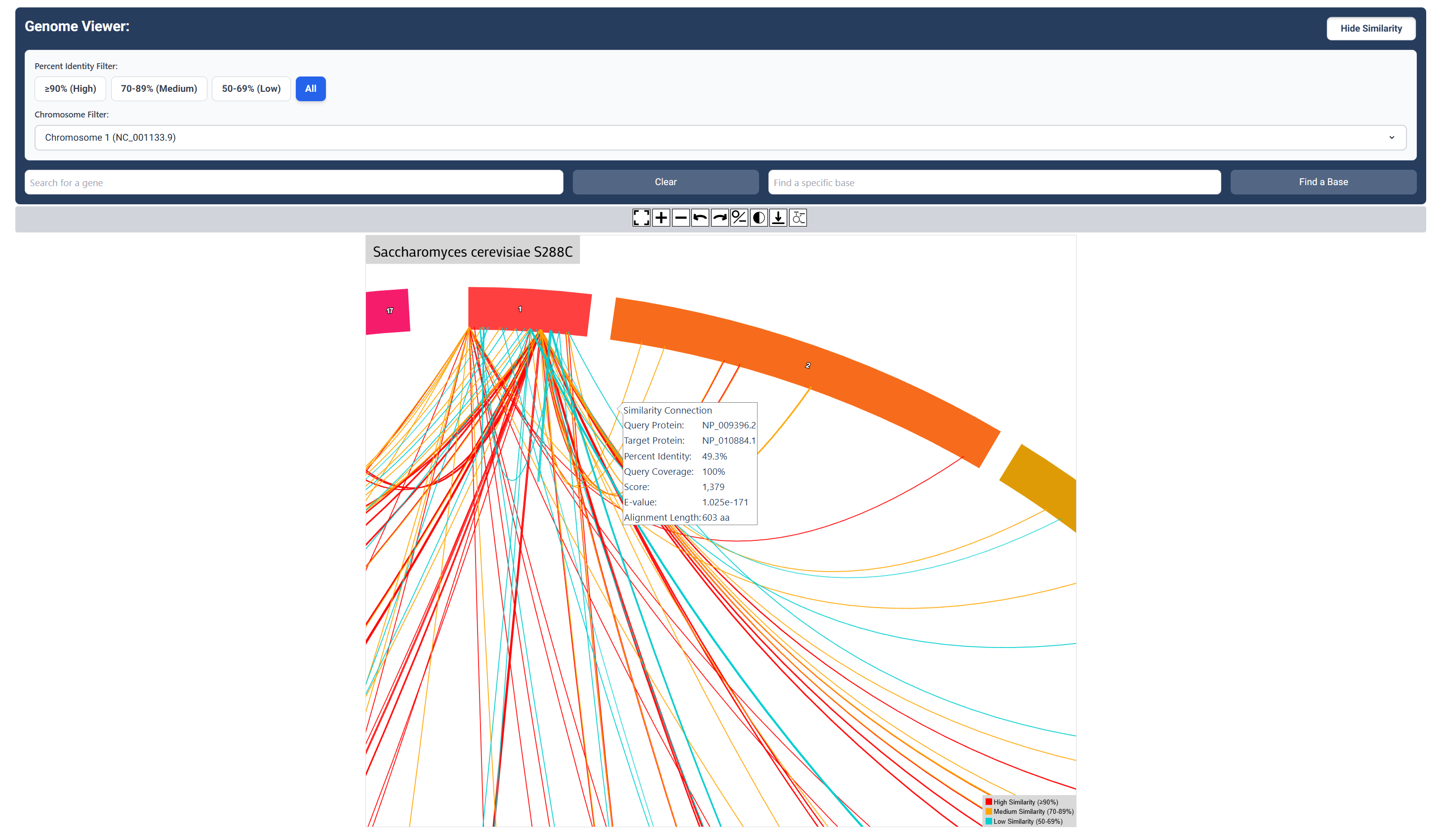 Sequence Similarity Map Zoomed In